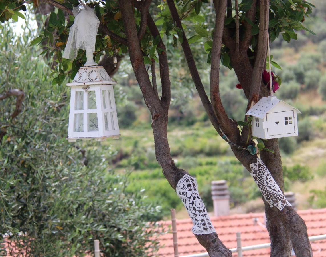 Il Sole Di Poggi Bed and Breakfast Imperia Εξωτερικό φωτογραφία