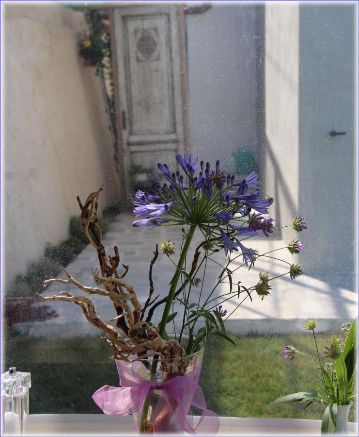Il Sole Di Poggi Bed and Breakfast Imperia Εξωτερικό φωτογραφία