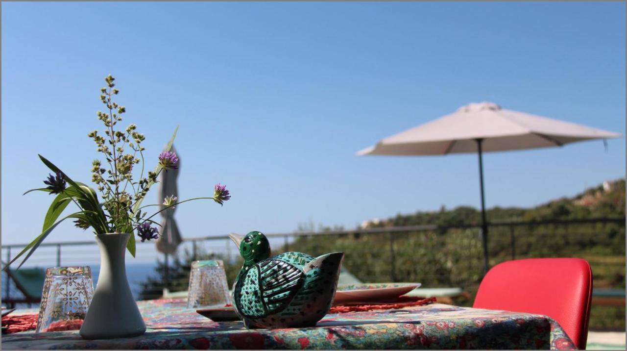 Il Sole Di Poggi Bed and Breakfast Imperia Εξωτερικό φωτογραφία