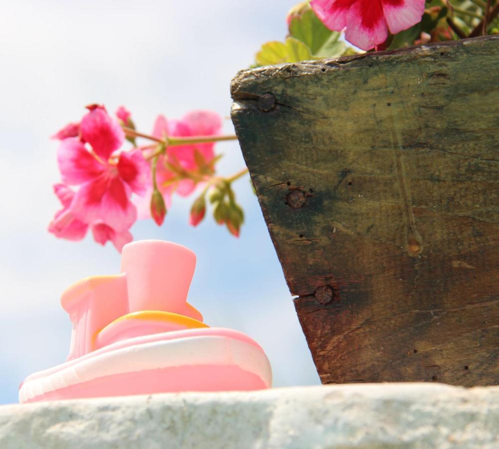 Il Sole Di Poggi Bed and Breakfast Imperia Εξωτερικό φωτογραφία